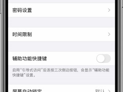 苹果引导式访问是什么意思_iphone的引导式访问有什么用