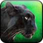 野豹猎人生存免费版下载_野豹猎人生存游戏下载v1.1.4 安卓版