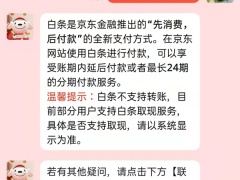 京东白条是干嘛的_什么意思