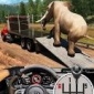 农场动物模拟器游戏下载_农场动物运输模拟器游戏_农场动物运输模拟器下载