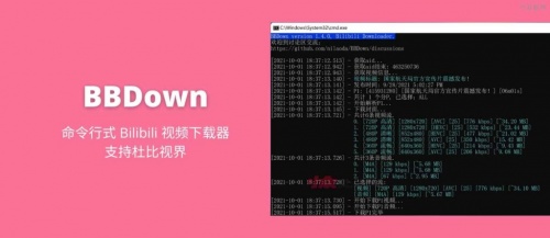 BBDown1.4.6下载_BBDown1.4.6最新最新版v1.4.6 运行截图3