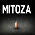 米托萨（Mitoza）