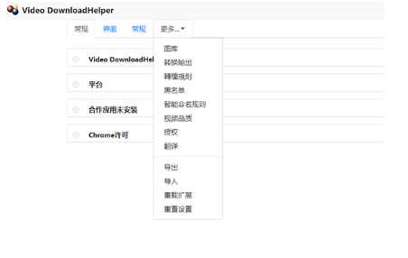 Video DownloadHelper浏览器插件破解版_Video DownloadHelper绿色最新版v7.3.5.0 运行截图3