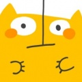 easycattimer免费绿色版