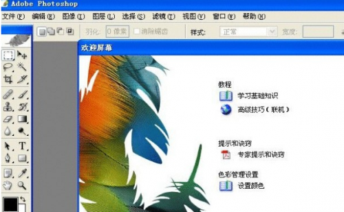 Photoshop最新免费版下载_Photoshop绿色破解版下载v8.0 运行截图1