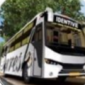 疯狂的巴士驾驶冒险汉化版下载_疯狂的巴士驾驶冒险游戏安卓版下载v1.2 安卓版