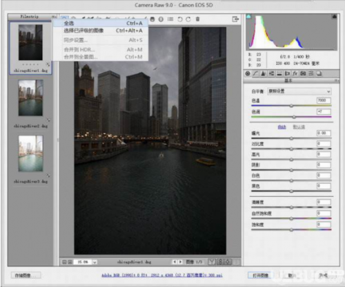 Adobe camera raw破解版下载_Adobe camera raw(滤镜插件) v11.3 最新版下载 运行截图1