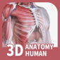 口袋人体解剖app下载_口袋人体解剖手机版下载v2.1.0 安卓版