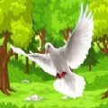 飞鸽鸟模拟器游戏下载_飞鸽鸟模拟器最新版下载v1.0 安卓版