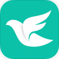 飞鸽互动app最新版下载_飞鸽互动平台app安卓版下载v2.8.8