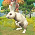 宠物兔模拟器游戏下载_宠物兔模拟器手机版下载v1.0.0 安卓版