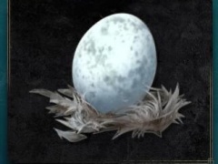 艾尔登法环眠卵获取方法分享 眠卵怎么得