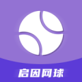 懂网球培训app下载_懂网球培训手机版下载v1.0 安卓版