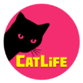 猫生猫猫模拟器安卓版游戏下载_猫生猫猫模拟器最新版下载v1.0 安卓版