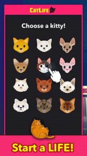 猫生猫猫模拟器安卓版游戏下载_猫生猫猫模拟器最新版下载v1.0 安卓版 运行截图2