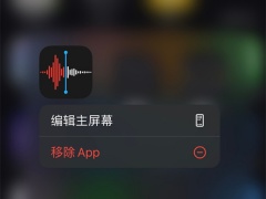 苹果手机接电话怎么录音_苹果手机接电话可以录音吗[多图]