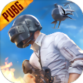 pubg国际服地铁逃生修改器