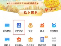 中国银行app怎么查一年的收入_怎么看年收入[多图]