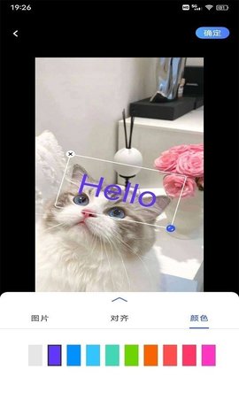 小猪翻译器