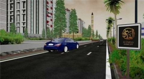 大城市模拟器中文版_城市汽车驾驶模拟器 运行截图2