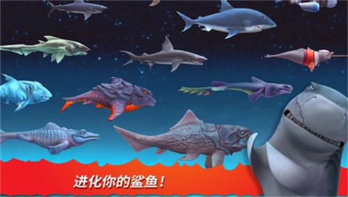 饥饿鲨进化国际服安全下载_饥饿鲨进化国际服正版最新 运行截图2