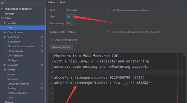 PHPStorm破解版怎么调字体大小3