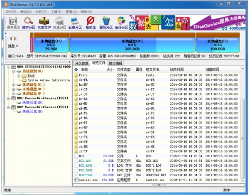 DiskGenius完美破解版下载_DiskGenius(磁盘分区数据恢复软件)中文专业版网盘下载v2022 截图3