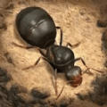 荒野蚂蚁模拟下载-荒野蚂蚁模拟游戏安卓版下载v1.0 安卓版
