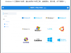 MSDN win11 原版 下载的步骤教程[多图]