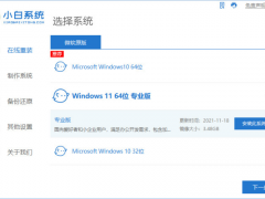 小白怎么安装Win11 64位游戏专业版-Win11 64位游戏专业版下载安装教程[多图]