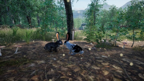 兔子牧场游戏下载-兔子牧场Rabbit Meadow下载 运行截图4