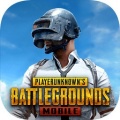 吃鸡国际服下载正版-绝对求生刺激战场(PUBGMOBILE)最新版下载