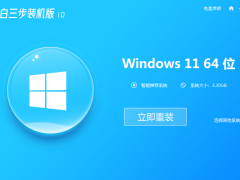 小白装机系统win11安装的教程[多图]