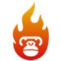 猴子探站手机版app下载_猴子探站手机版免费域名下载v1.0 安卓版