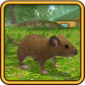 疯狂老鼠公园游戏安卓版下载_疯狂老鼠公园免费版下载安装v1.0.0 安卓版