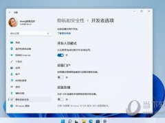 Windows11开发人员模式打不开怎么解决