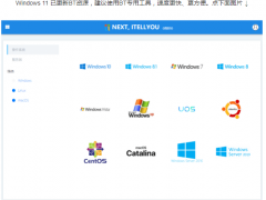 msdn哪个是win11专业版系统[多图]