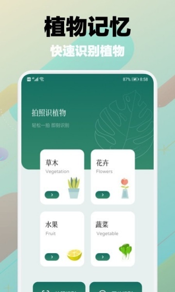 树林记忆app安卓版下载_树林记忆最新版下载v1.1 安卓版 运行截图2