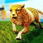 荒野猎豹模拟器安卓版免费下载_荒野猎豹模拟器最新版游戏下载v1 安卓版
