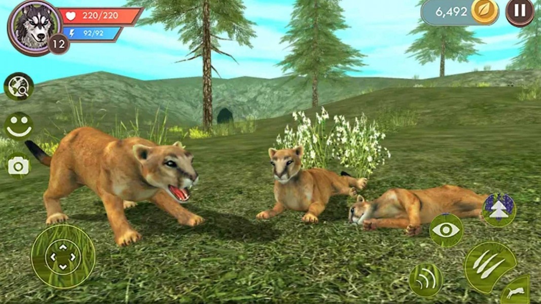 荒野猎豹模拟器安卓版免费下载_荒野猎豹模拟器最新版游戏下载v1 安卓版 运行截图1