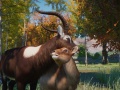 动物园之星湿地动物包DLC内容介绍