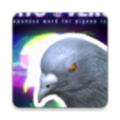 鸽宇宙手机版下载_鸽宇宙游戏最新版下载v1.1.1 安卓版