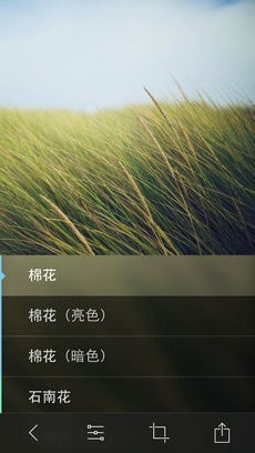 Litelyapp下载_Litely中文版下载v1.0 安卓版 运行截图1