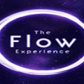 流动体验（The Flow Experience）
