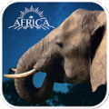 3D大象养成游戏中文版下载_3D大象养成安卓版下载v1.2 安卓版