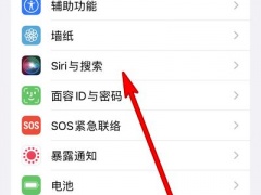 苹果13siri怎么唤醒_siri在哪里打开[多图]