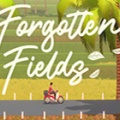 被遗忘的田野（Forgotten Fields）