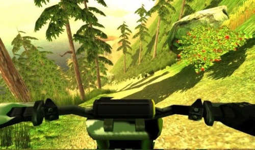 自行车下坡模拟器安卓版下载_自行车下坡模拟器最新版游戏下载v2.0 安卓版 运行截图2