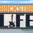 摇滚明星生活游戏下载-摇滚明星生活Rockstar Life下载