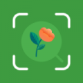 花卉百科手机安卓版下载_花卉百科app下载安装v1.1 安卓版